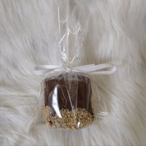 Image of S'mores pops