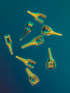 Fossil Diatoms 2