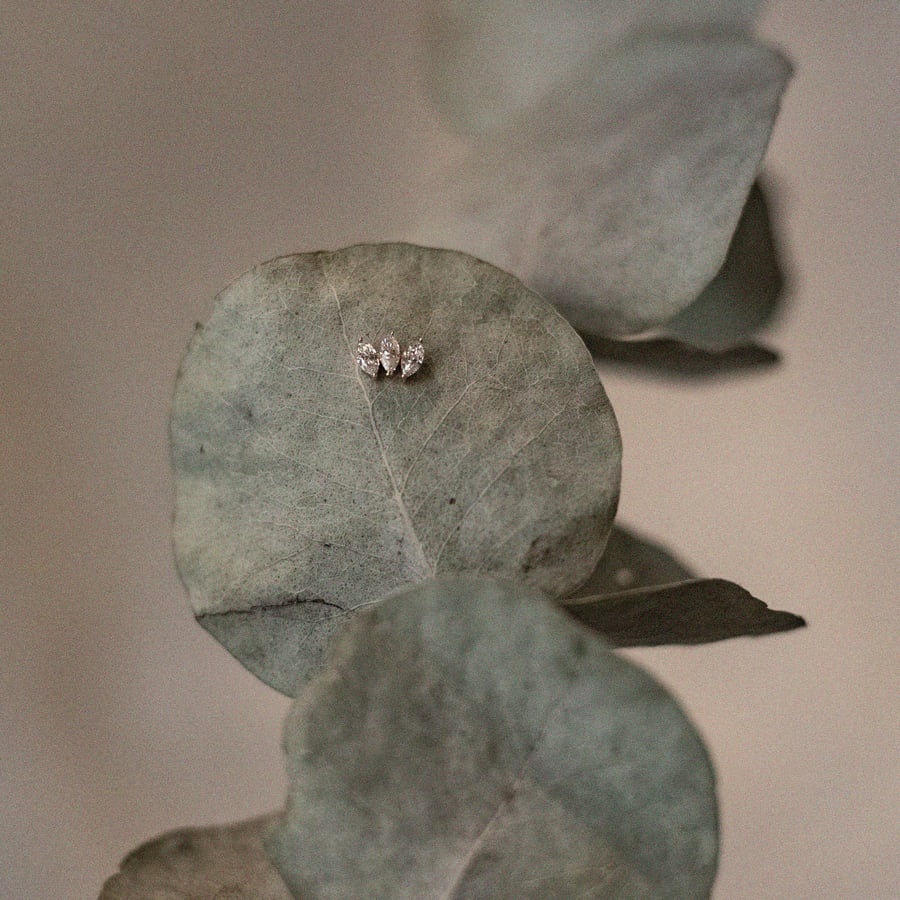 Image of PIERCING 3 MARQUISES.