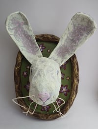 Image 1 of November Rabbit 4