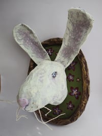 Image 3 of November Rabbit 4