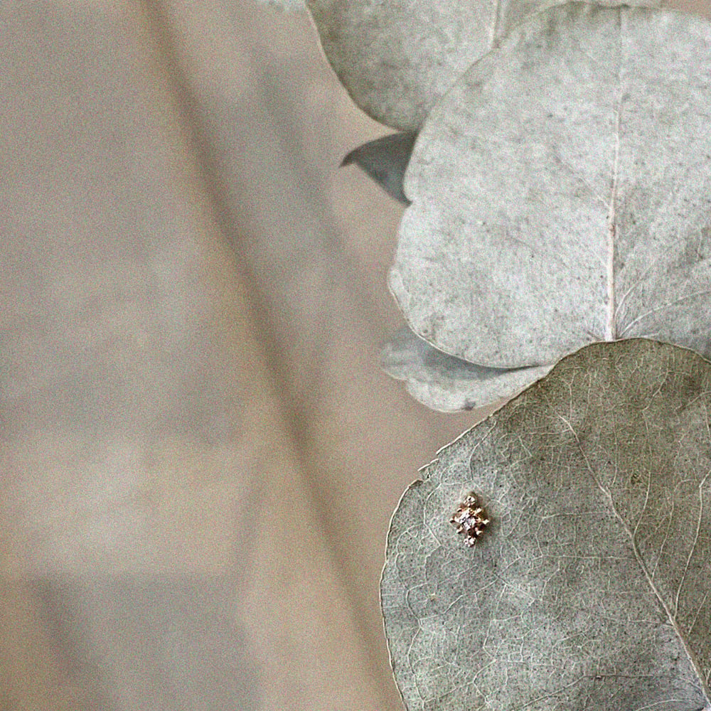 Image of PIERCING BLOSSOM.