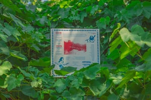 Image of Do You Fall LP