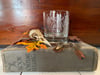Stag Beetle Engraved Glass Ltd
