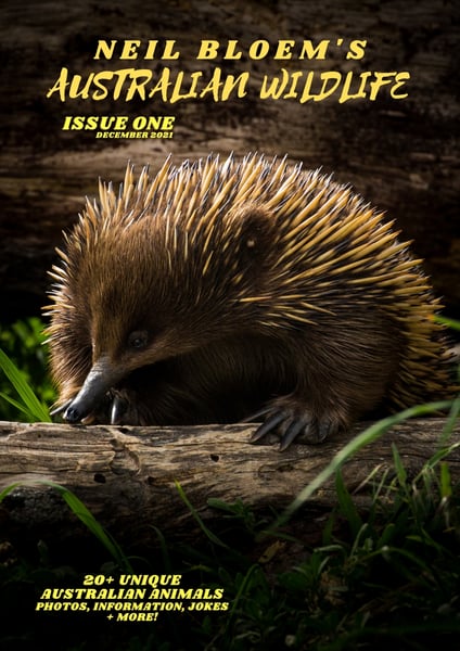 Image of Neil Bloem's Australian Wildlife ISSUE ONE (2021)