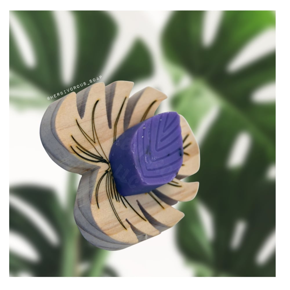 Image of Monstera Soap Dish 