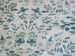 Image of Swan River Damask Print Fabric - Turquoise