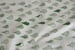 Image of Coldgulls Fabric - Forest Green