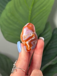 Image 2 of TUMBLED AGATE #24 -MALAWI-