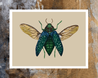 Image 4 of Green Jewel Beetle Watercolor Illustration PRINT 
