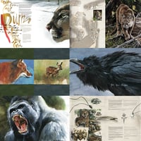 Image 5 of Wild & Free - The Wildlife Art of Timo Wuerz