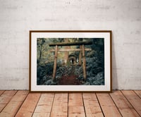 Image 1 of Fine Art - 30 copies / Signed - Togakushi temple