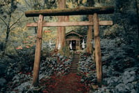 Image 3 of Fine Art - 30 copies / Signed - Togakushi temple