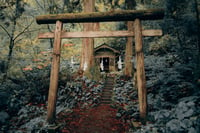 Image 3 of Togakushi temple - Fine Art - 30 copies / Signed