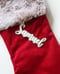 Image of Stocking name tag 