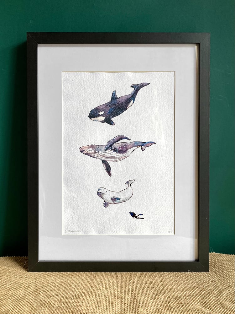 Image of the whales print