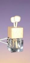 Vent Clip Car Freshner