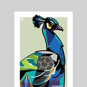 Image of Peacock - Limited Edition - Print