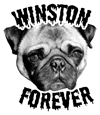 Winston Forever sticker