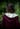 Fall Feelings Grounding Bordeux