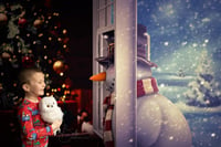 2022 Limited Edition Christmas Holiday Mini Sessions