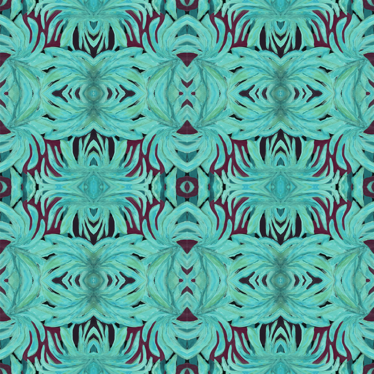 Image of Monstera Teal