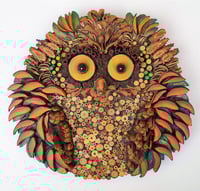 Image 1 of Mess up hair owl /gufo spettinato