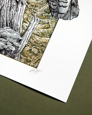 Deep in the Forest Limited Edition Giclée Print