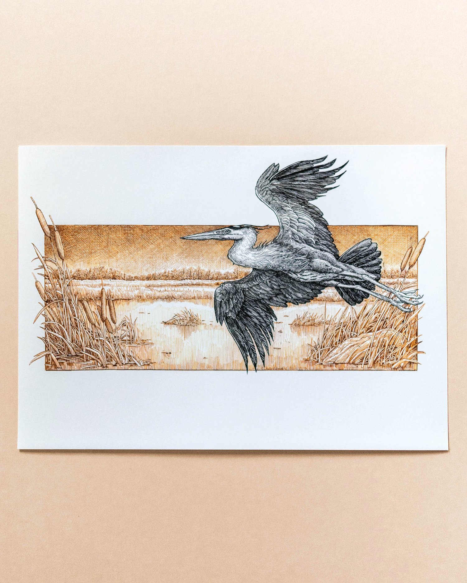 In a Misty Marsh Limited Edition Giclée Print