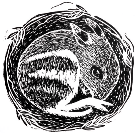 Woodifre Pottery Studio - Open by Appointment