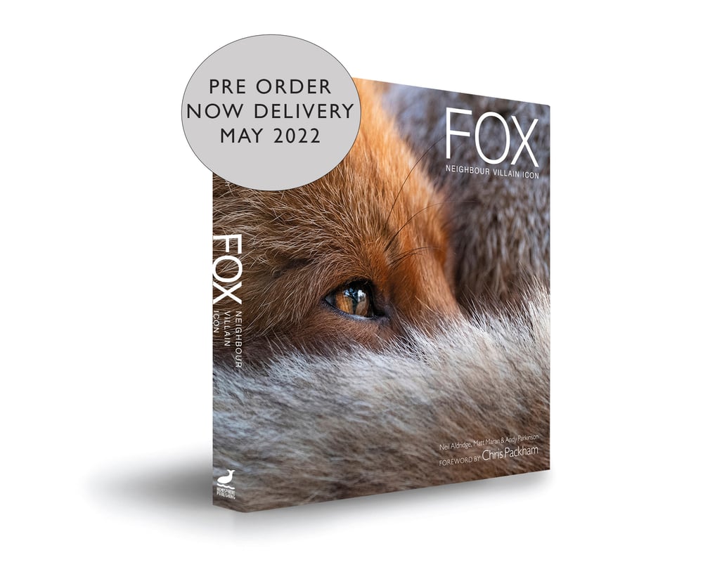 Image of Fox; Neighbour Villain Icon - Pre Order