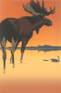 Image 1 of Art Print Moose in Lake