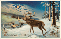 Bugling Elk Holiday Card