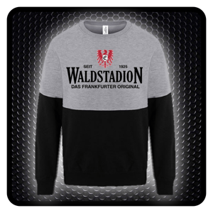 Image of SWGB Waldstadion