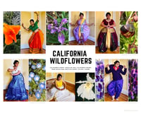California Wildflowers poster (16×20)