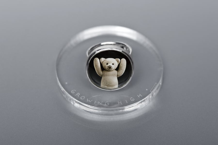 Image of " Growing high" Teddy-bear’s silver ring with photo, rock crystal · IN EXCELSITATEM NASCI · 