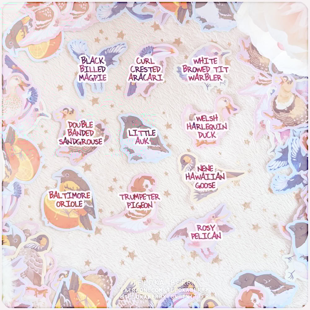 Image of an assortment of avians die-cut stickers