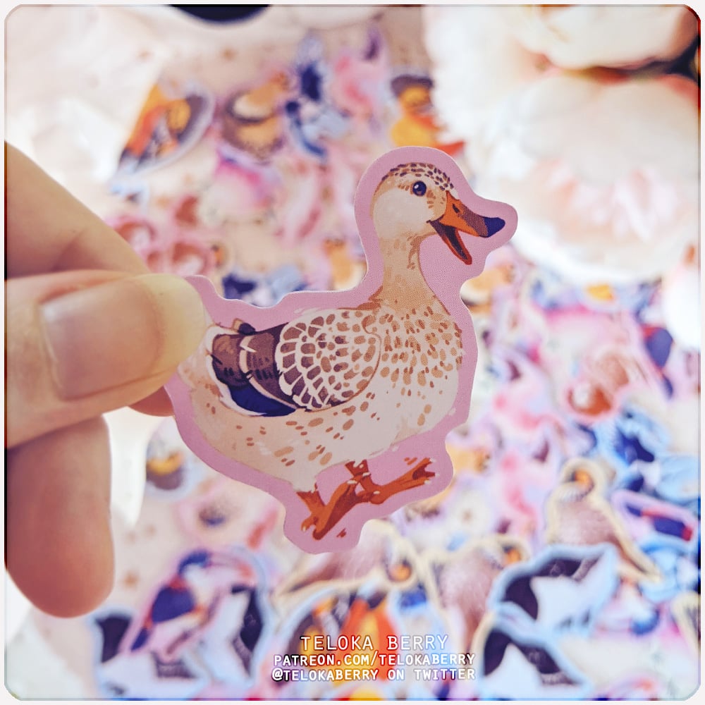 Image of an assortment of avians die-cut stickers