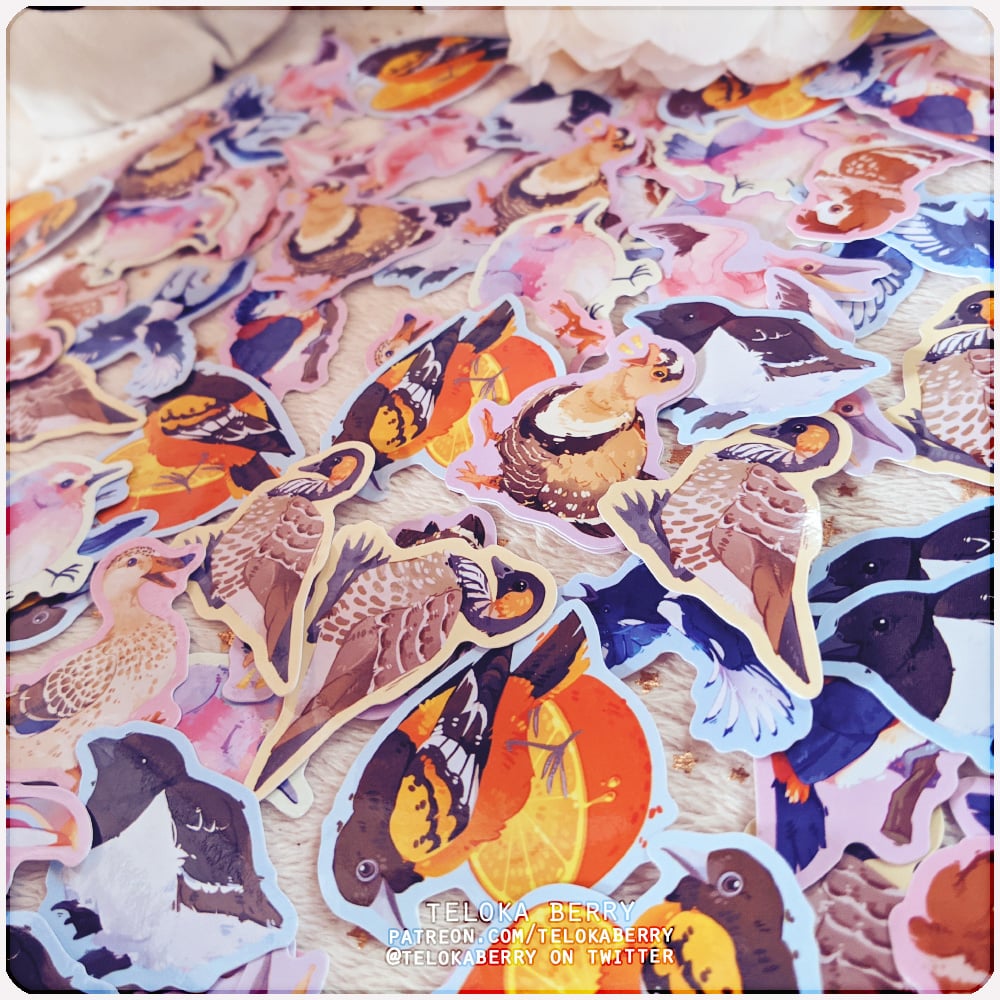 Image of an assortment of avians die-cut stickers