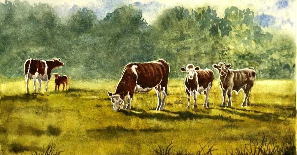 Image of Original Water Colour ‘Early Morning Light, Cotswolds’