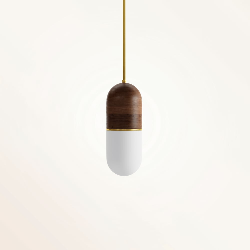 Image of EKŌ hanging lamp