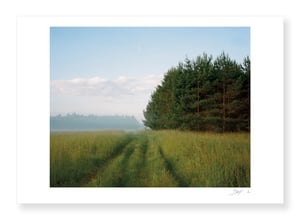 Puszcza - Nicolas Blandin