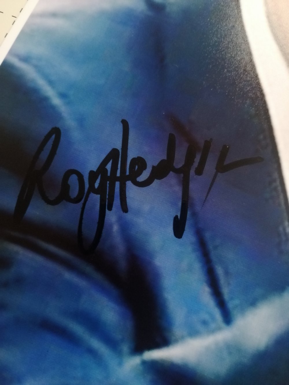 England Manager Roy Hodgson Signed 10x8