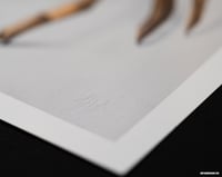 Image 5 of The Spider Giclee Print