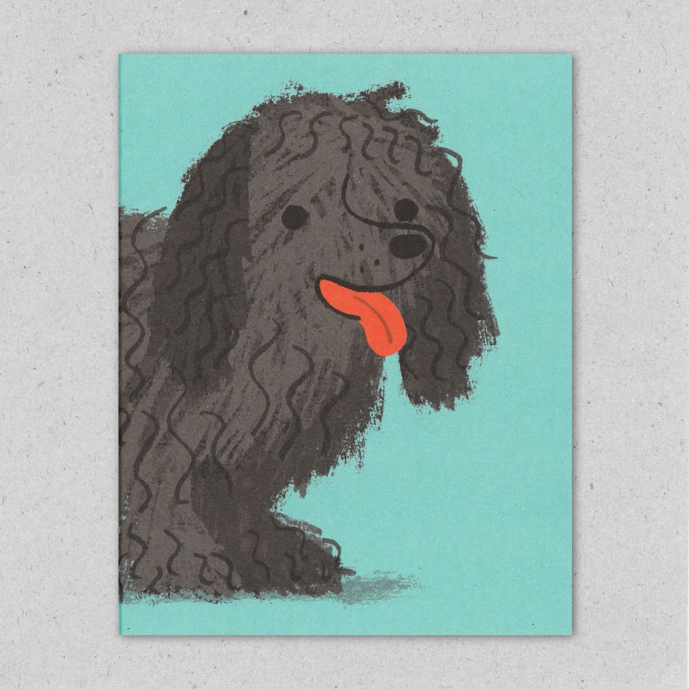 Image of Shaggy Dog