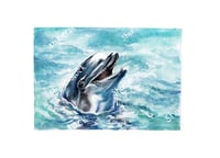 Shutterstock Dolphin