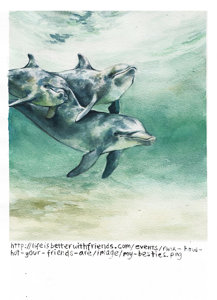 Image of 3 Good Friends Dolphin Print