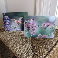 Greeting card - Cedar Waxwing