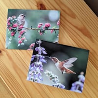Greeting card - Hummingbird
