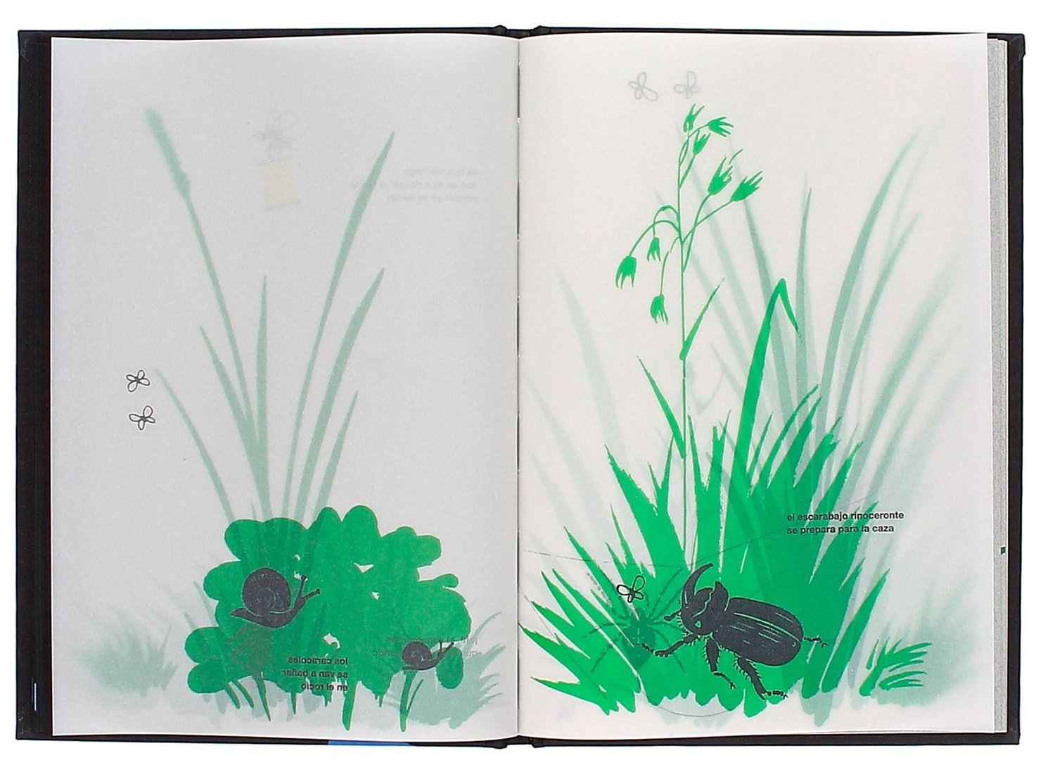 Image of En la noche oscura. Bruno Munari 